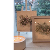 garden roses vol. xv - print