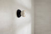 Terra 00 Surface Sconce