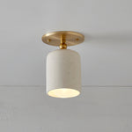 Terra 1 Short Articulating Light