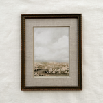 Mountain Flora - Print