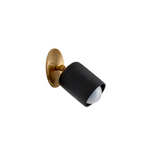 Terra 1 Short Articulating Light