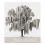 Psalm Willow - Print