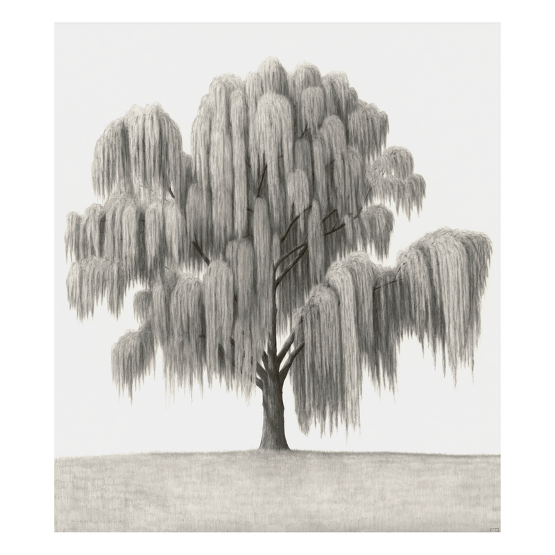 Psalm Willow - Print